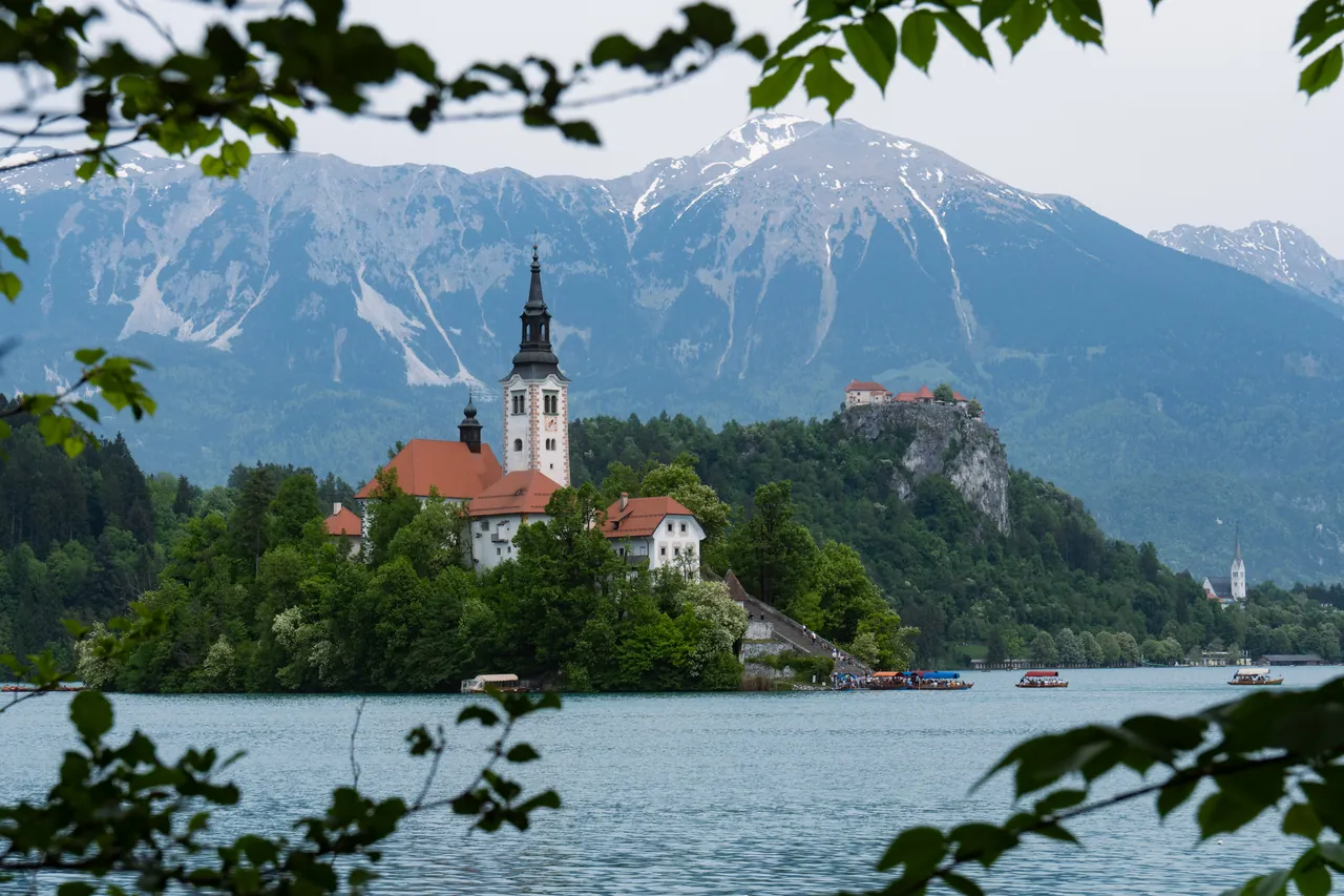 A small island with a white church and red roofs on a lake, a castle on a cliff to the right and snowy mountains behind, framed by green leaves.